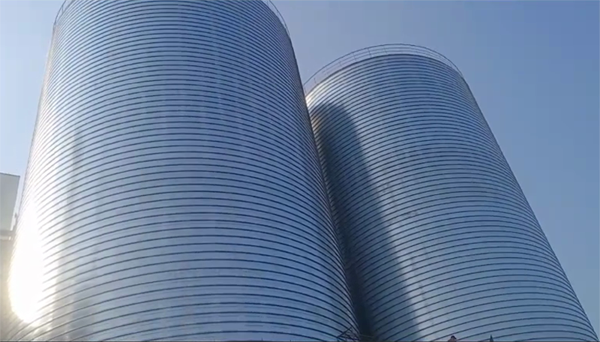 临泽2座混凝土高架卷板仓